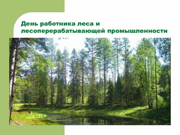 С днем работников леса и лесоперерабатывающей