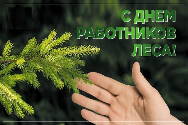 Поздравление с днем работника леса