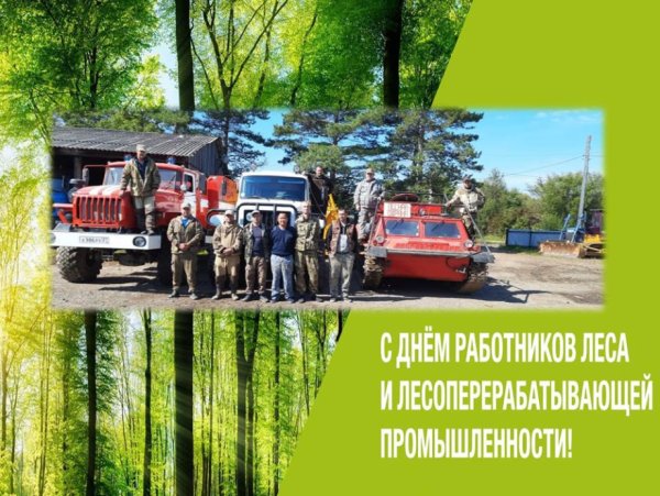 С днём леса и Лесной промышленности