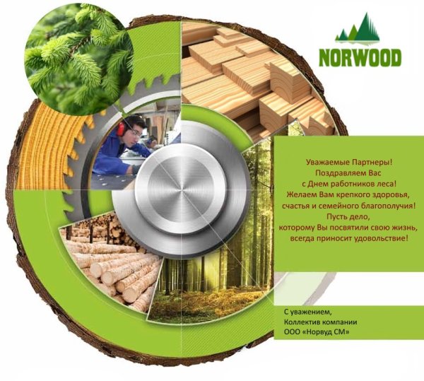 Поздравления с днём работника Лесной отрасли