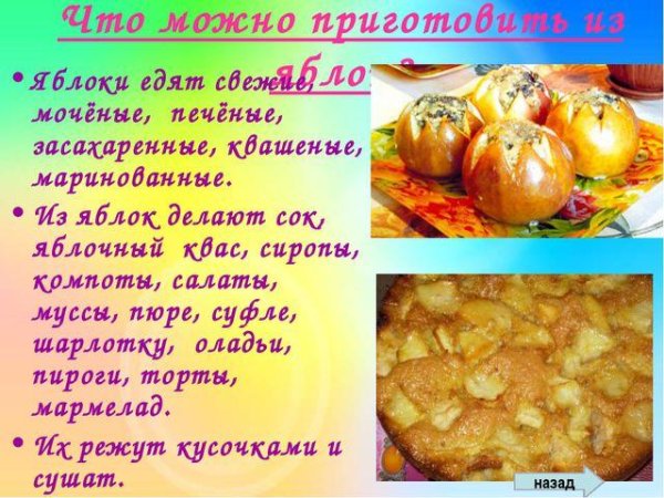 Рецепты из яблок вкусные и простые