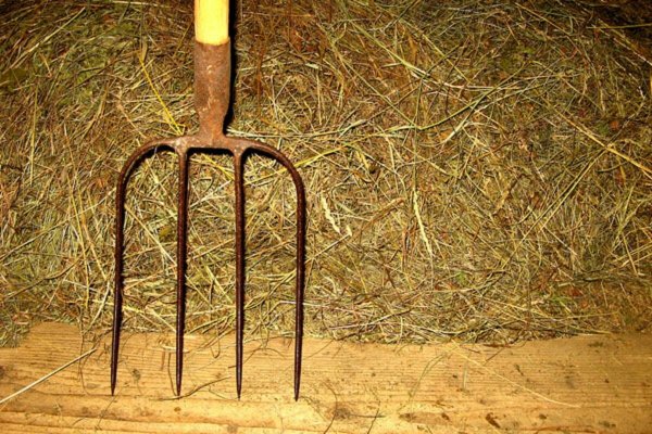 Вилы -c-захватом-1jpg(833+500)