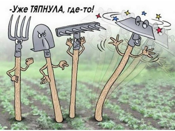 Огород карикатура