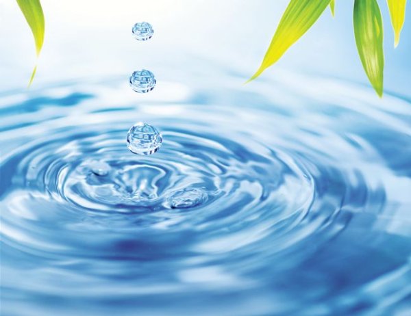 Всемирный день мониторинга воды