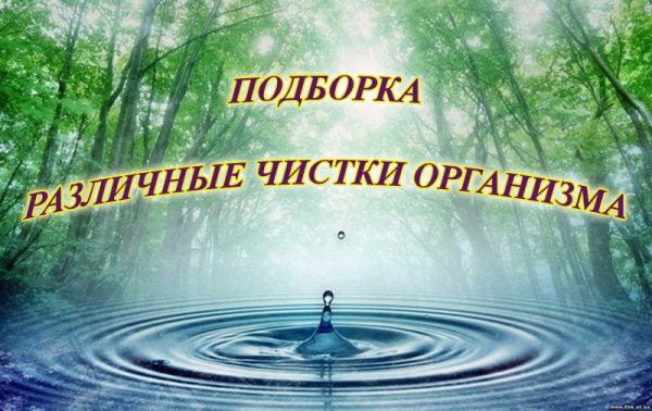 Всемирный день мониторинга воды