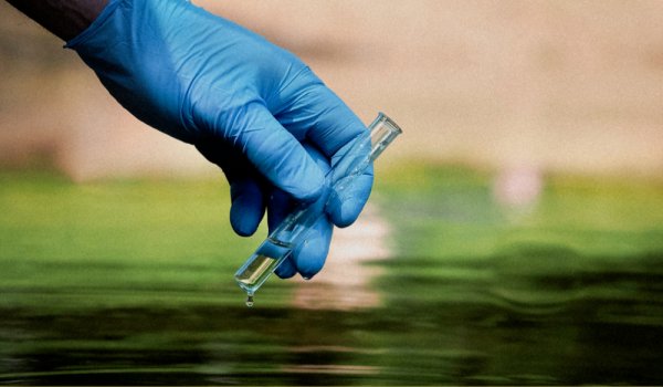 Всемирный день мониторинга качества воды