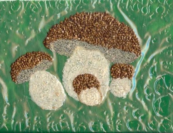 Грибок аппликация рис гречка