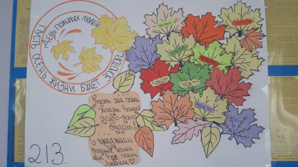 Плакат кот ДНБ пожилого человек а