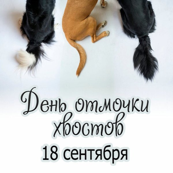 День отмочки хвостов