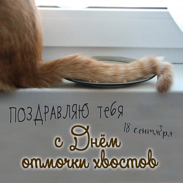 День отмочки хвостов