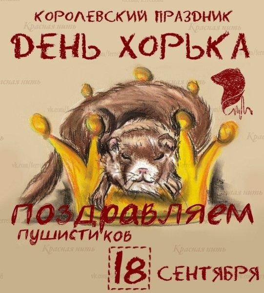 День хорька