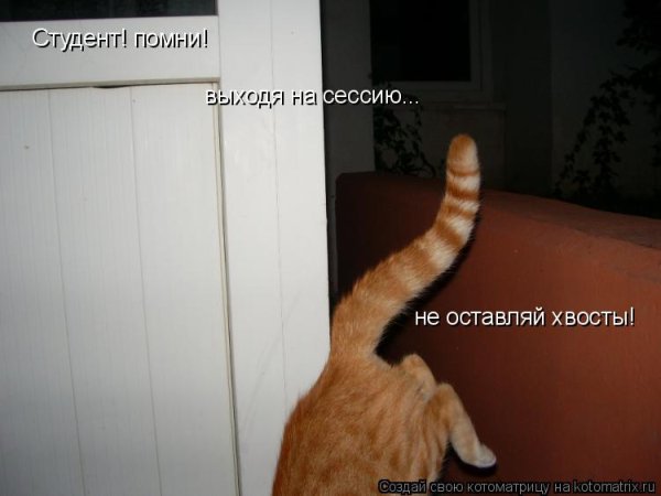 Конец сессии у студентов