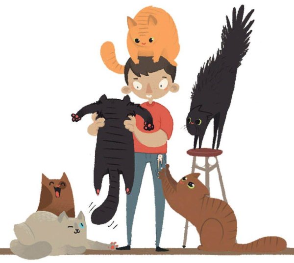 Поведение кошки