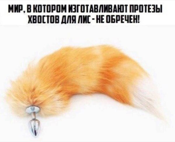 Протез хвоста для лисы