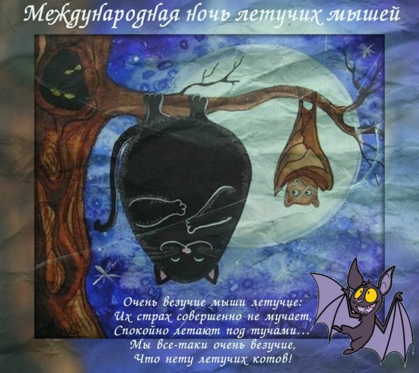 Международная ночь летучих мышей 20 сентября