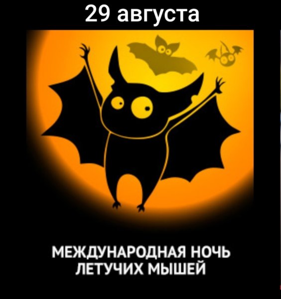 День летучих мышей