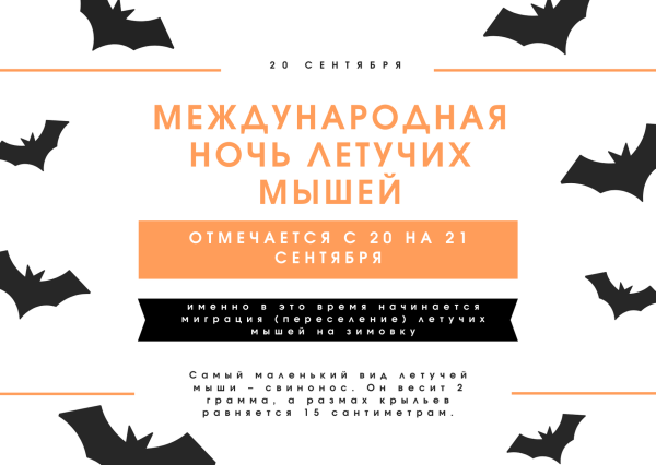 Международная ночь летучих мышей 20 сентября