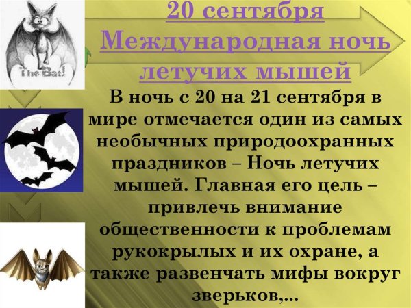 Международный день летучих мышей