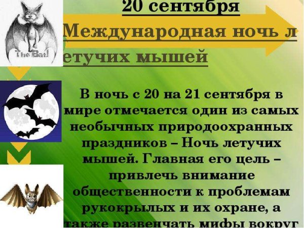 Международная ночь летучих мышей