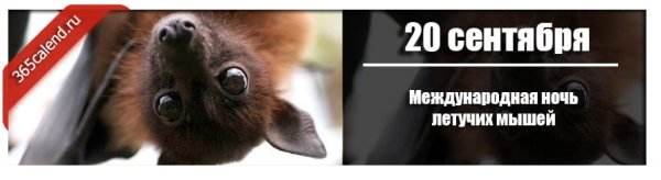 Международная ночь летучих мышей 20 сентября