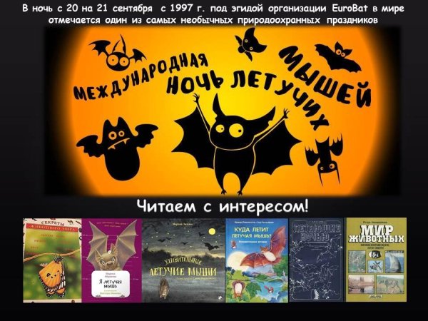 Ночь летучих мышей 20 сентября