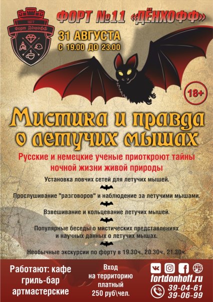 Летучая мышь афиша
