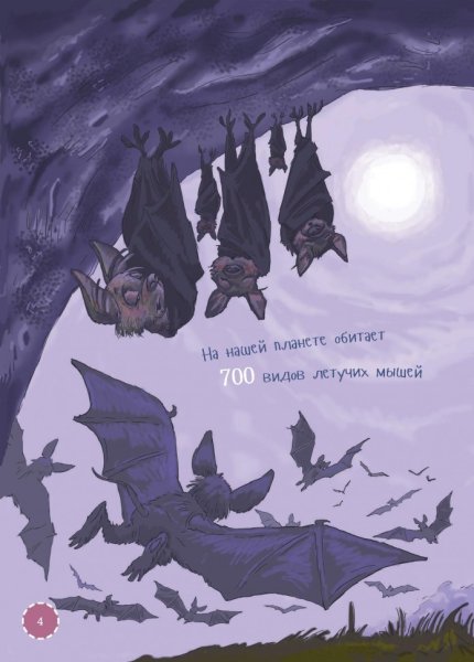 Абрамова м. "я летучая мышь"