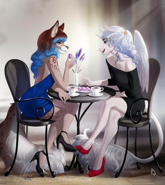 Фурри за столом