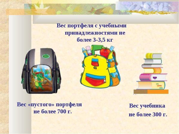 Проектная работа школьный портфель