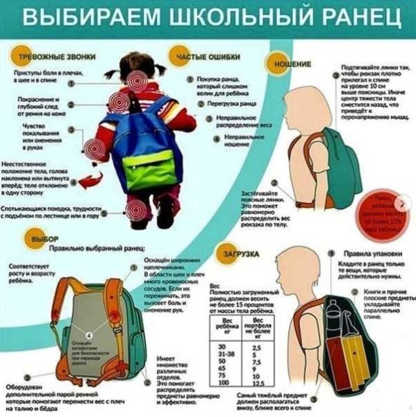 Правильный портфель для первоклассника
