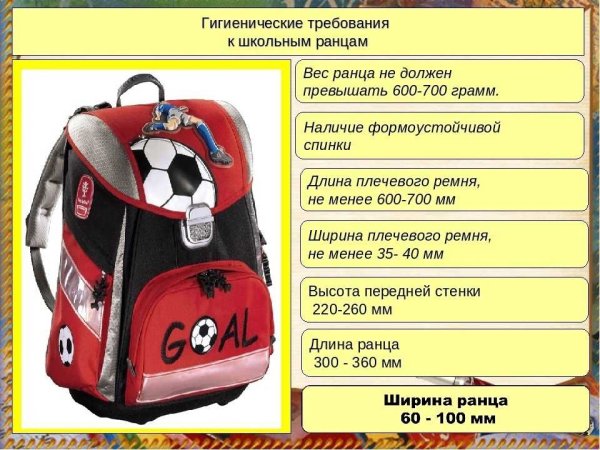 Размеры школьных рюкзаков для первоклассников