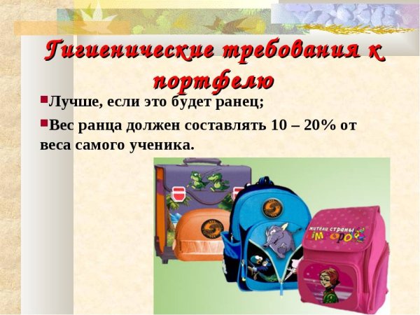 Портфель проект школьника