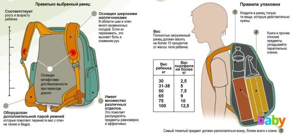 Вес ранца для первоклассника