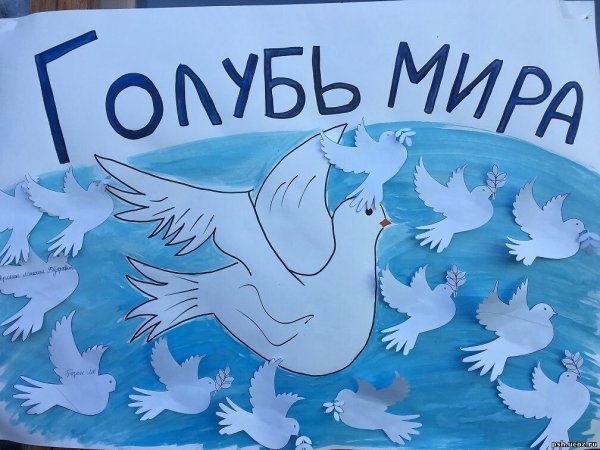 Голубь мира плакат