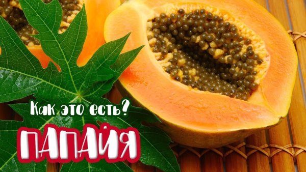 Мамайя и папайя