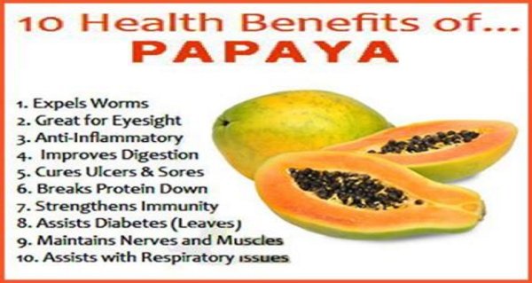 Papaya Type breast pics