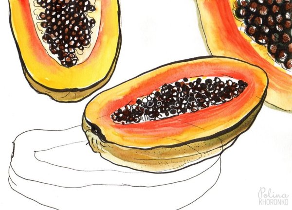 Папайя скетчинг