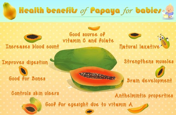 Загадка про папайю