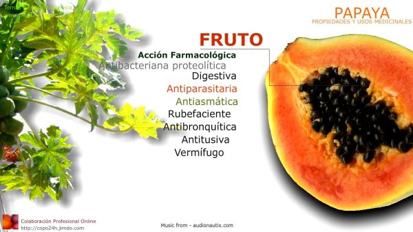 Папайя la fruta bomba