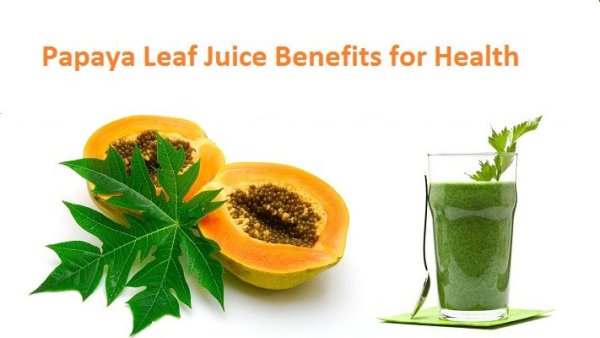 Эмблема папайи nature produce ready for exotic