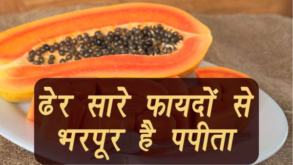 Загадка про папайю