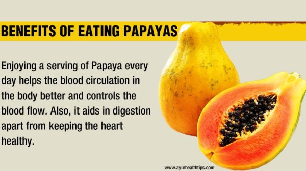 Папайя сленг