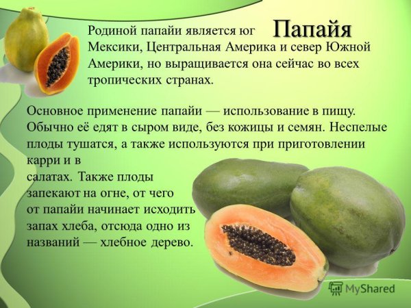 Папайя презентация