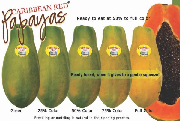 Папайя как определить зрелость