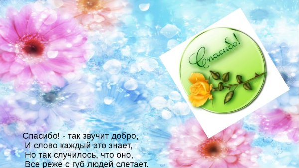 День благодарности