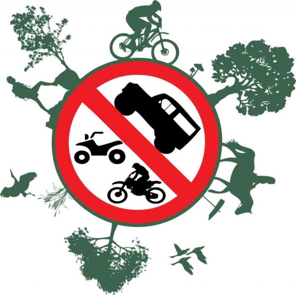 Всемирный день без автомобиля