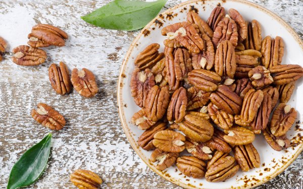 Пекан птица пикан