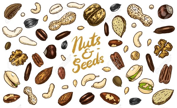 Сухофрукты орехи паттерн