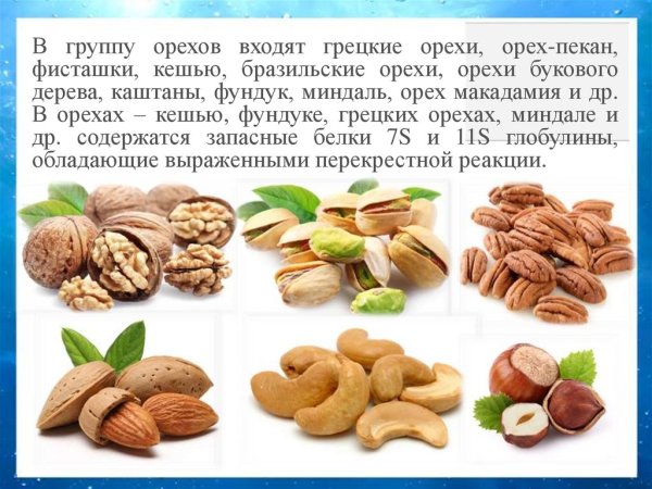 Аллергия на орехи грецкий орех