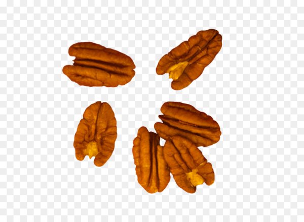 Пекан на белом фоне